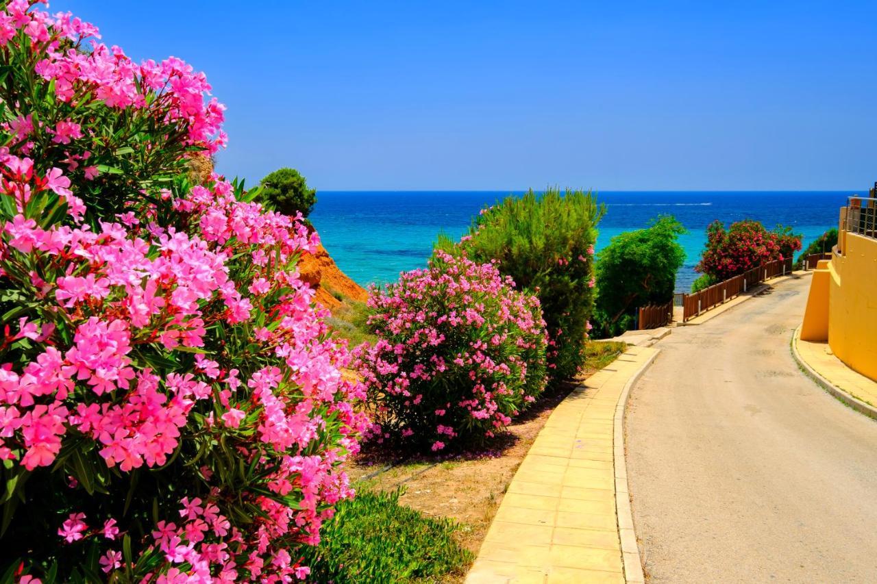 Mileniun Levante Dehesa de Campoamor  エクステリア 写真